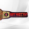 Jey Uso Championship Belt right side