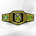 John Cena Belt