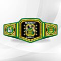 John Cena Championship Belt