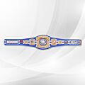 john cena signature series spinner championship replica title