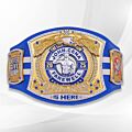 John Cena Spinner Belt