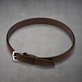 Dark Brown Belt Mens
