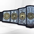 Lucha Underground Belt Replica right side plates