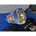 Mario Party Championship Belt right view