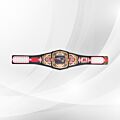 new england patriots wwe belt

