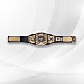 wwe nfl legacy belts
