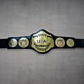 NWA Tag Team Belts