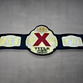 nwa world heavyweight championship replica