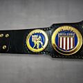 NWA Wrestling Belt United States Championship right plates