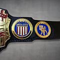 NWA Wrestling Belt United States Championship left plates