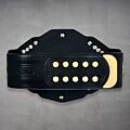 NXT Champion Belt