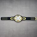 new nxt championship belt