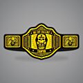 One Chip Challenge Champion Belt