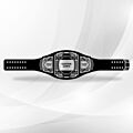 personalized wrestling belt