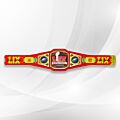 super bowl championship belt