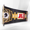 steelers championship belt