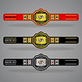 Poker Champion Belt