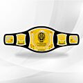 WWE Spinner Title