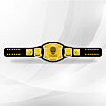 Rey Mysterio Belt WWE Spinner Title