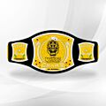Rey Mysterio Belt 