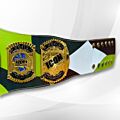 ROH Championship Belt