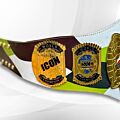 jay briscoe belt