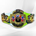 jay briscoe championship belt