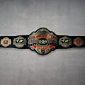 Television Championship Belt