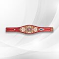 49ers championship wrestling belt
