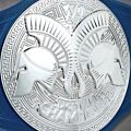 WWE Tag Team Championship Belt medallion