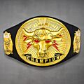 the rock belt