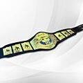 The Rock People Champion Belt Replica full view