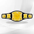 brahma bull spinner belt