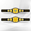 the rock wwe spinner belt