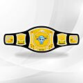 the rock wwe title belt