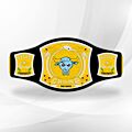 the rock spinner belt