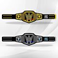 the rock brahma bull belt