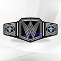 Brahma Bull Belt