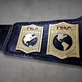 Tag Team Belt