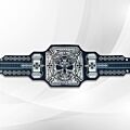 HHH Championship Belt