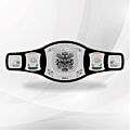 triple h title belt