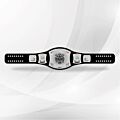triple h wwe belt