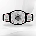 triple h spinner belt
