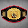 Title Boxing Belt