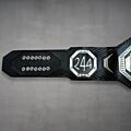 BMF Title Belt
