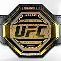 UFC Championship Belt