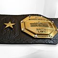 ufc legacy belt replica left side plate