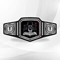 Undertaker Championship Belt