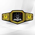 Undertaker Custom Belt