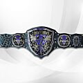 undertaker championship belt